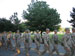 ./cow/cowsummer/cbt_july4/thumbnails/IMG_0079.jpg