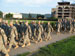 ./cow/cowsummer/cbt_july4/thumbnails/IMG_1554.jpg