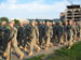 ./cow/cowsummer/cbt_july4/thumbnails/IMG_1581.jpg
