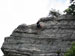 ./cow/cowsummer/climbing_piad/thumbnails/Climb-14.jpg