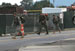 ./cow/cowsummer/ruck_beast/thumbnails/ruckmarch_7july_037.jpg