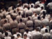 ./firstie/ringweekend/ceremony_ps/thumbnails/P9129500.jpg
