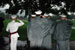 ./firstie/ringweekend/gaskill/thumbnails/DSC_6723.jpg