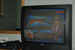 ./firstie/ringweekend/gaskill/thumbnails/DSC_6743.jpg