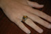 ./firstie/ringweekend/gaskill/thumbnails/DSC_7016.jpg