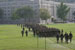 ./plebe/aday/harris/thumbnails/033.jpg