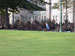 ./plebe/marchback/ashton/thumbnails/DSCN7169.jpg