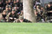 ./plebe/marchback/jamie/thumbnails/_MG_9503080805.jpg