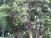 ./plebe/rday/Aco_chacula2/thumbnails/DSCF0168.jpg