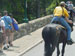 ./yearling/cft/cft_cbt_4th/thumbnails/4th_of_July_15.jpg