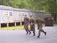 ./yearling/cft/co3_616/thumbnails/100_0462.jpg