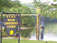 ./yearling/cft/co3_616/thumbnails/100_0465.jpg
