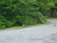 ./yearling/cft/co3_616/thumbnails/100_0467.jpg