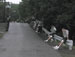 ./yearling/cft/co3_616/thumbnails/WP-Buckner-060.jpg