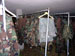 ./yearling/cft/co4_625/thumbnails/100_1243.jpg