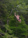 ./yearling/cft/scherr_rope/thumbnails/DSC00096.jpg