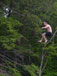 ./yearling/cft/scherr_rope/thumbnails/DSC00097.jpg