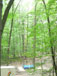 ./yearling/cft/schwartz/thumbnails/DSCN4227.jpg