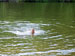 ./yearling/cft/weiser_detailchange/thumbnails/100_0571_edited.jpg