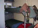 ./yearling/cft/ycasiano_4th/thumbnails/100_1346.jpg