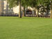 ./yearling/illumination/runback_malins/thumbnails/P1010039.jpg