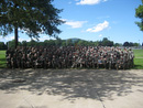 1SG Marin with A Co New Cadets