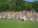 August 24, 2007