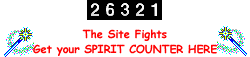 Site Fights Spirit Counter