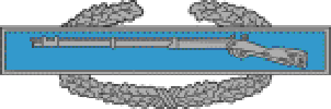 COMBAT INFANTRY BADGE