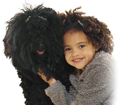 buddy_7