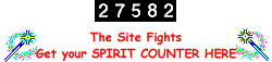 Site Fights Spirit Counter
