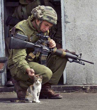 Homeless kitten no more.