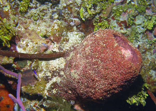 DSC00015a