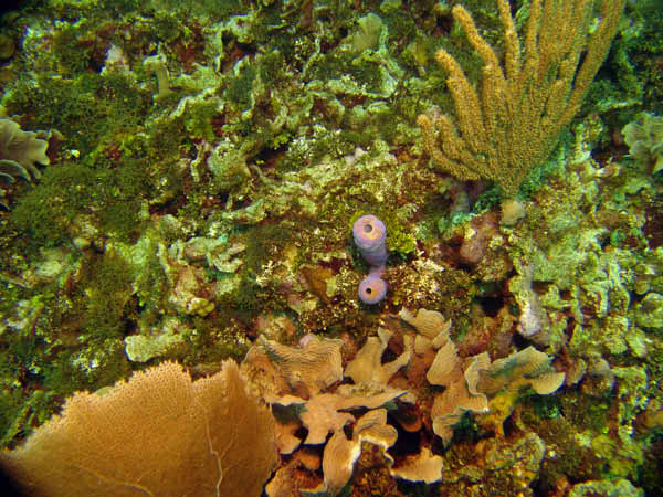 DSC00016