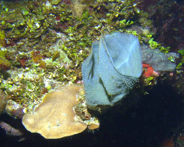 DSC00020b