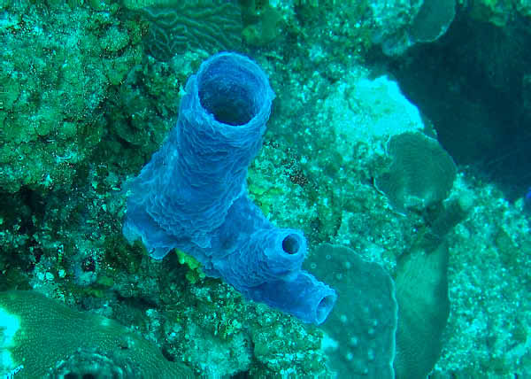 DSC00023b