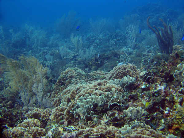 DSC00025