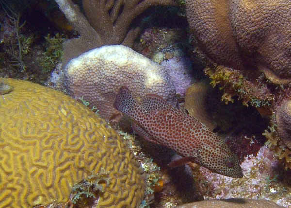 DSC00040