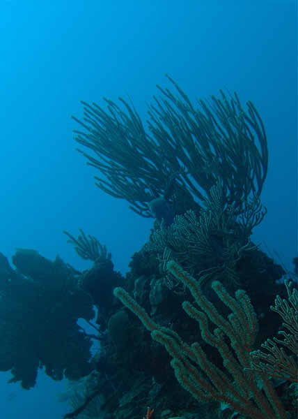 DSC00040a
