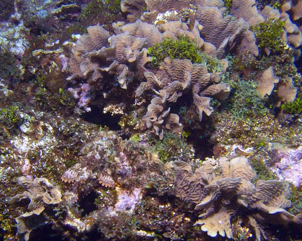 DSC00041