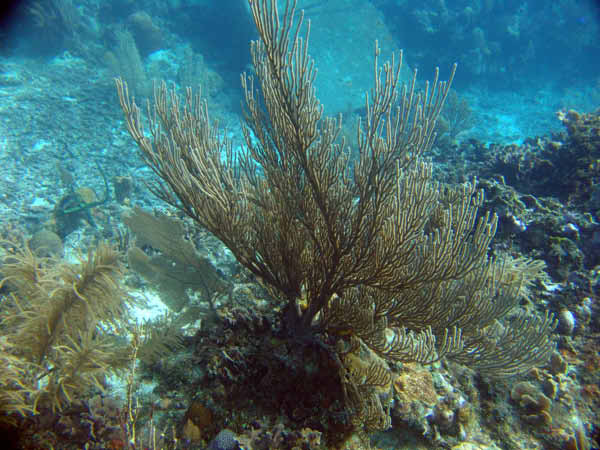 DSC00047a