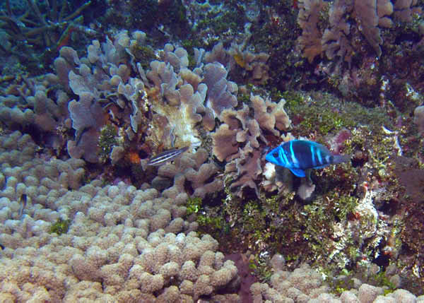 DSC00047b