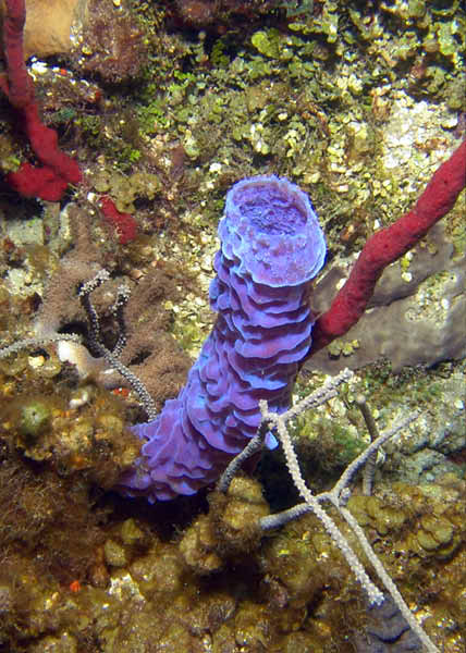 DSC00047c