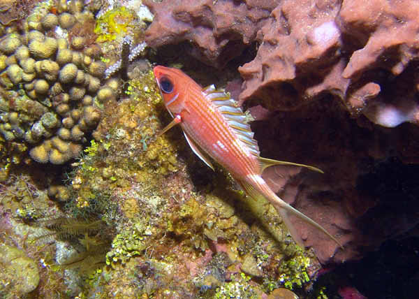 DSC00048