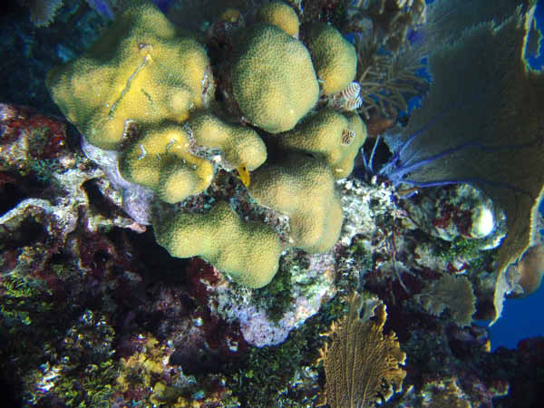 DSC00057