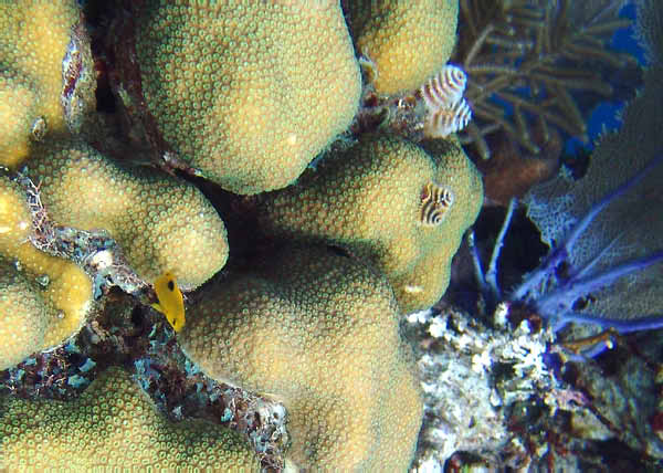 DSC00057a