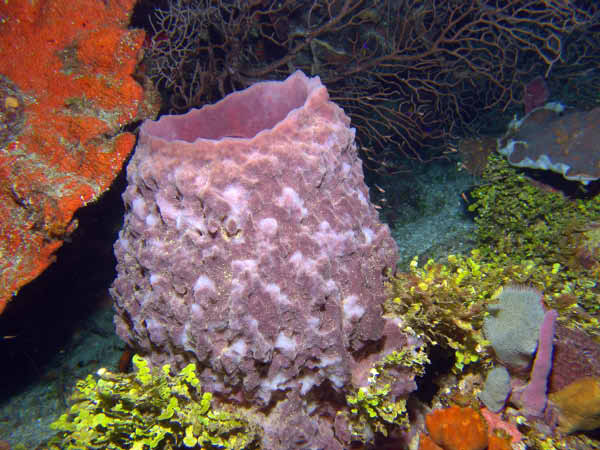DSC00058a