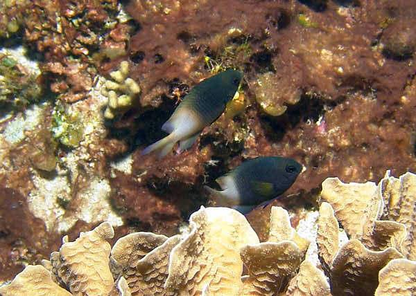 DSC00067