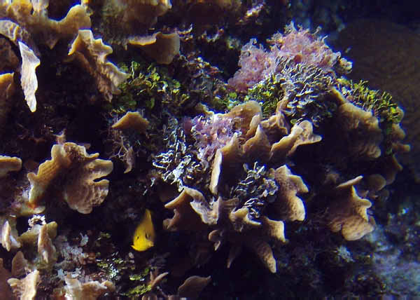 DSC00070
