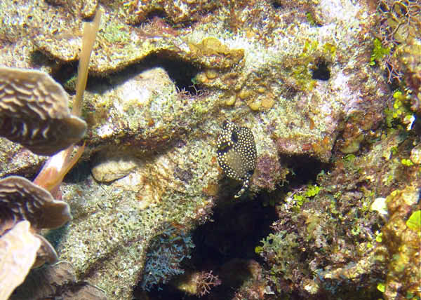 DSC00082
